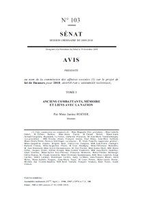 Sénat - projet loi de finances 2010