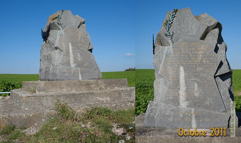 ANA RICM : La stèle de La Malmaison en 2011