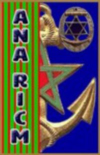 Logo ANA RICM